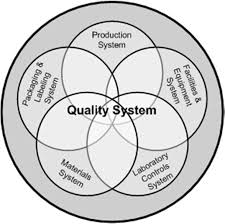 Quality System in Pharmaceuticals